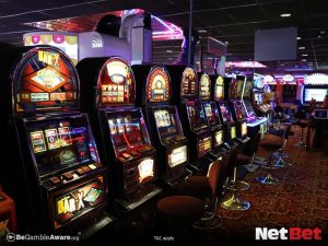 16bet|Bingo Online com Mais de 500 Jogos – Participe Já